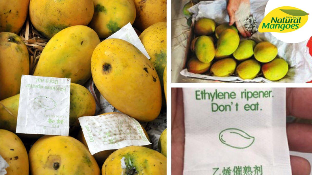Health issues with Artificial Mangoes