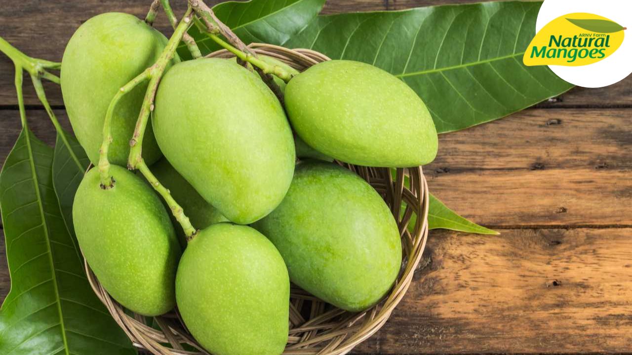 Here are some of the health benefits you get with organic mangoes