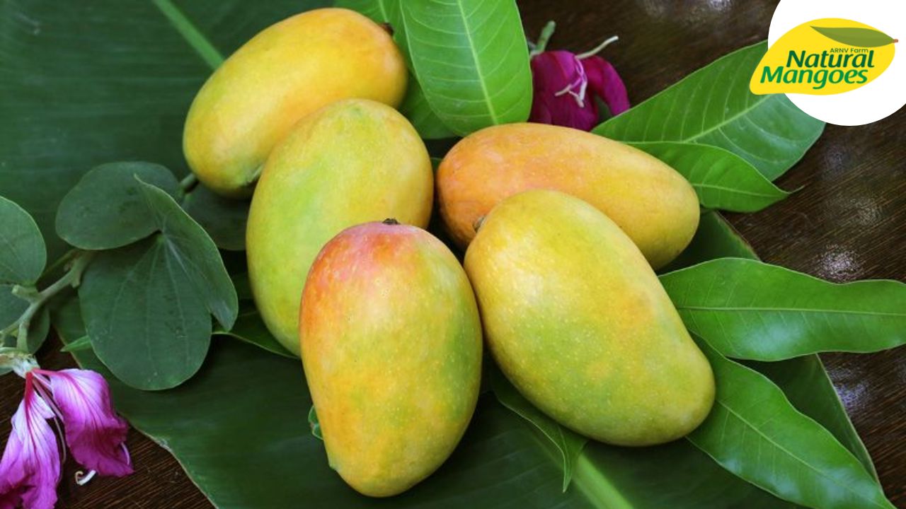 The Best Shop for Organic Mangoes in Chennai