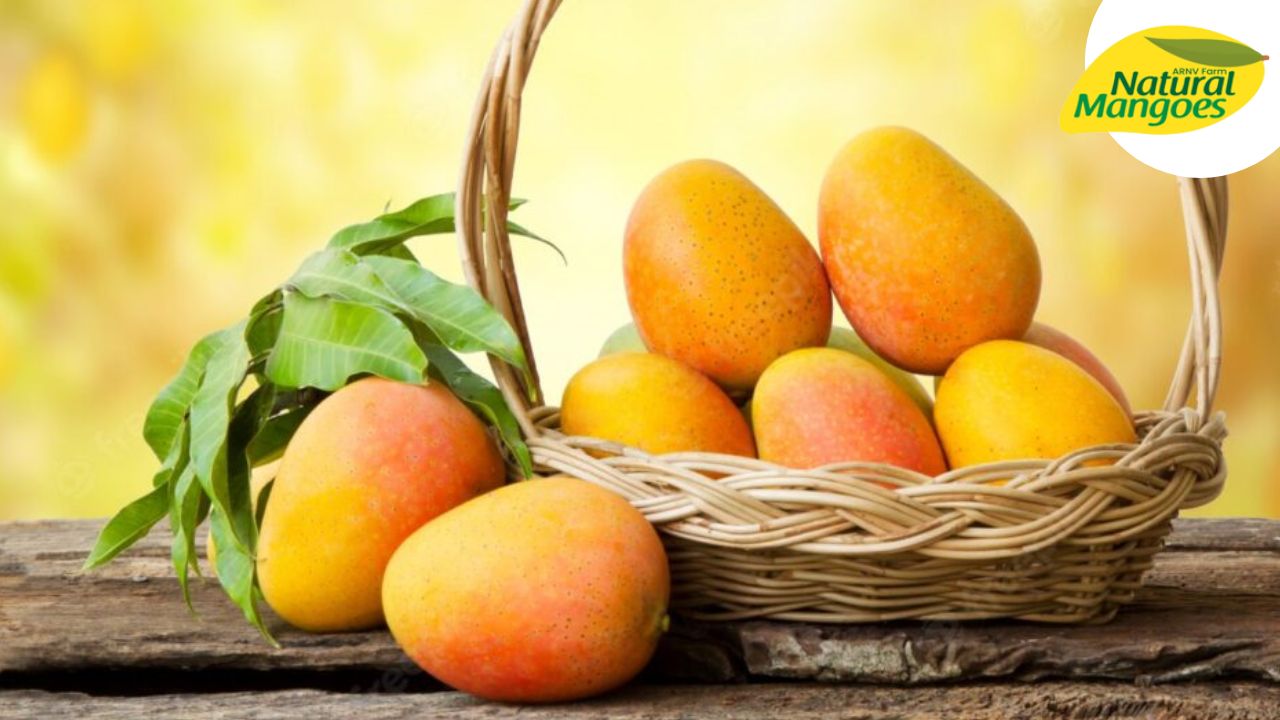 Fresh Mango Fruits