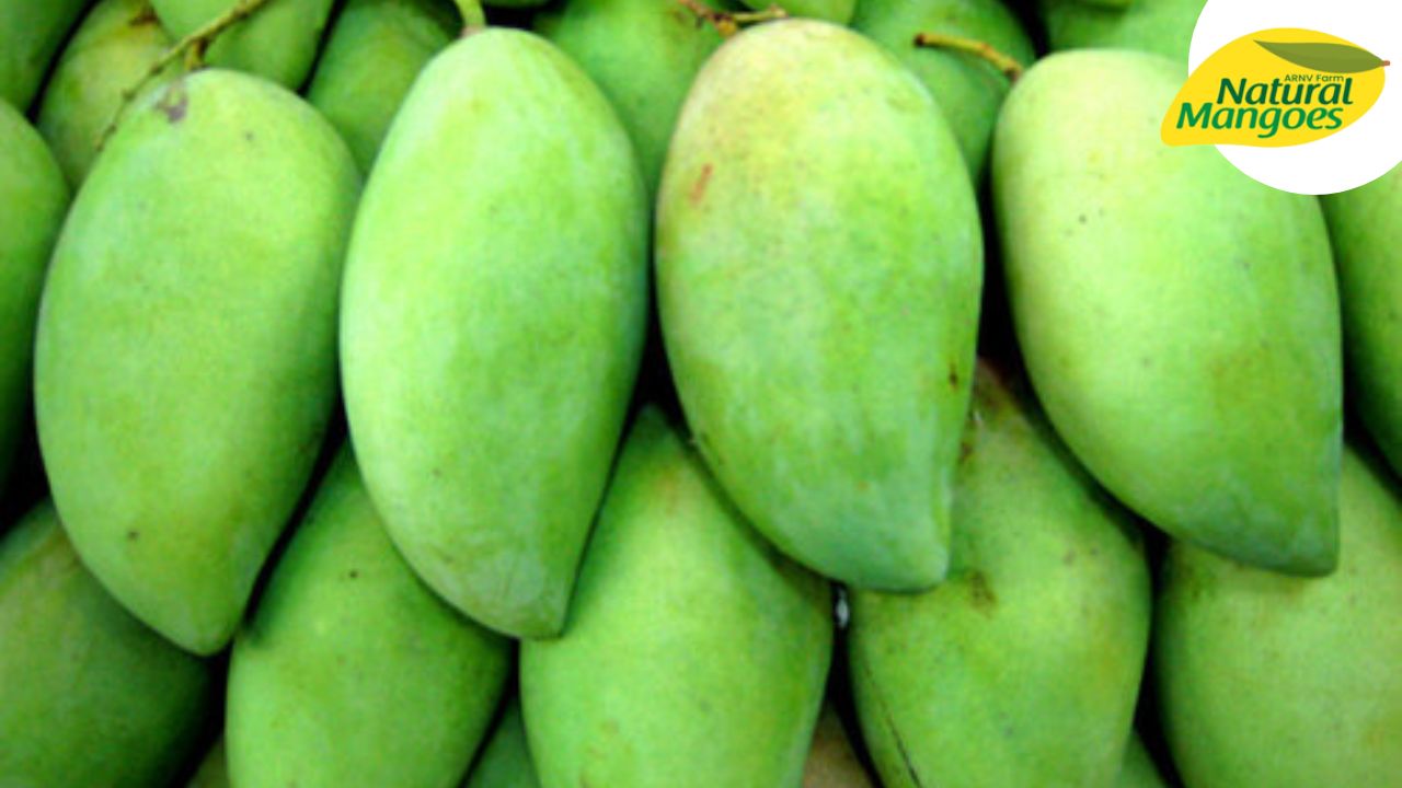 Best place to buy organic Imam pasand mangoes