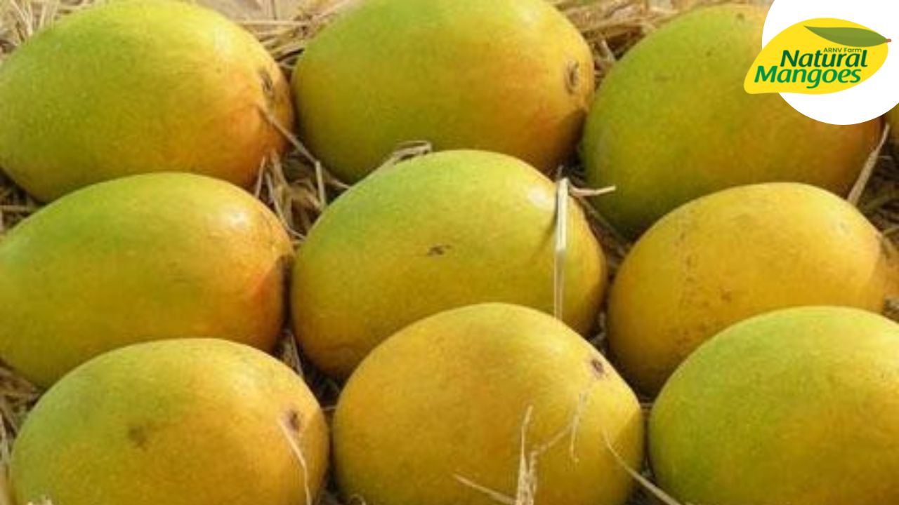Where to buy organic mangoes