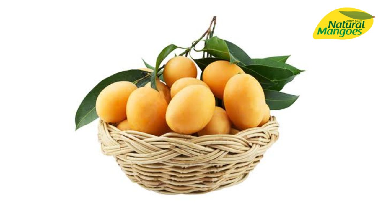 Organic Mango Shopping