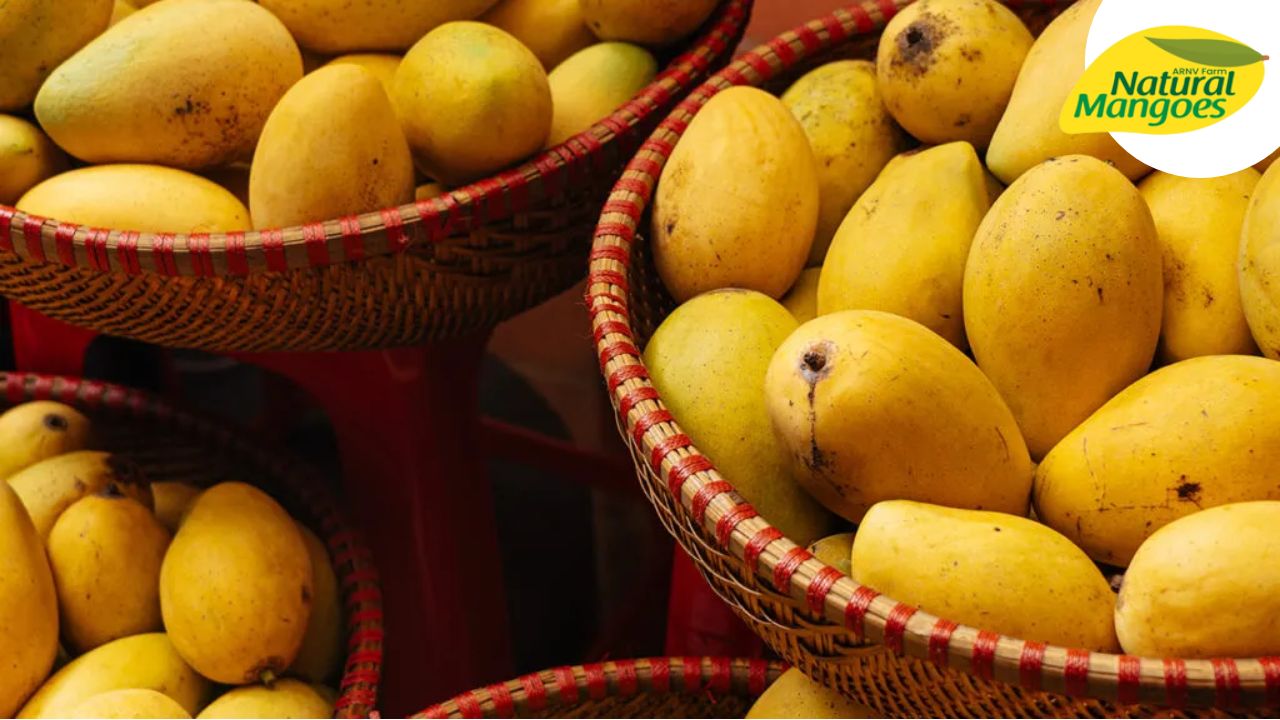 Nutrients & Health benefits of Mango Fruits