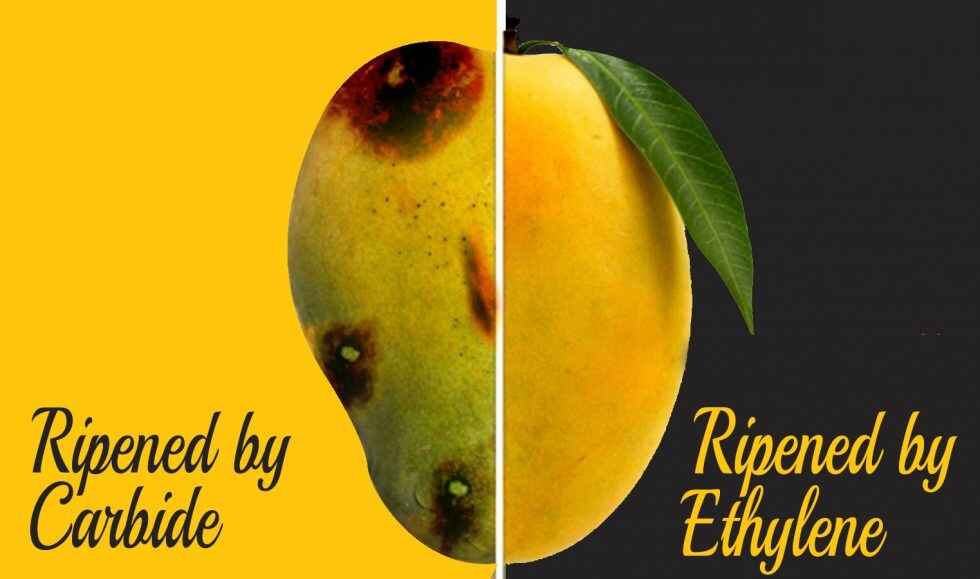 Carbide Free Mango